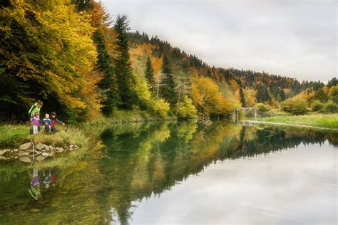 selva de irati verano|Selva de Irati, Navarra